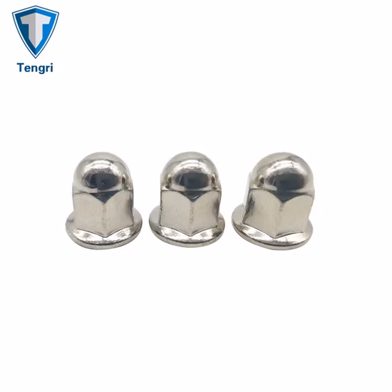 Suministro de fábrica Sujeciones de titanio Tuercas de cúpula con bridas Tuercas ciegas de bellota Tuercas de bellota